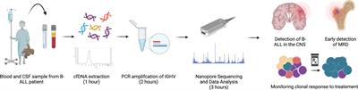 Nanopore sequencing of clonal IGH rearrangements in cell-free DNA as a biomarker for acute lymphoblastic leukemia